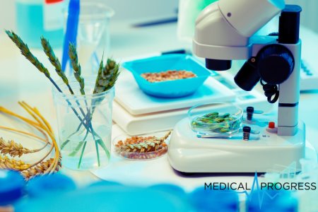 GMO - rewolucja czy zagrożenie dla zdrowia?